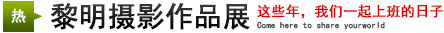 攝影展：這些年，我們一起上班的日子
